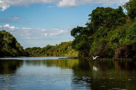 Panorama of Araguaia National Park, Bananal Island, Brazil