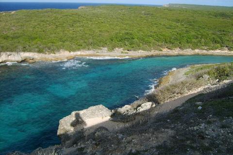 Dry scrub landscape, Grande-Terre Island, Guadeloupe