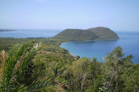 Xeric scrub vegetation on Dominica