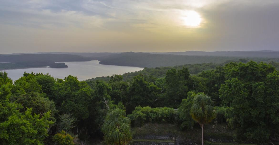 Maya forest, Guatemala