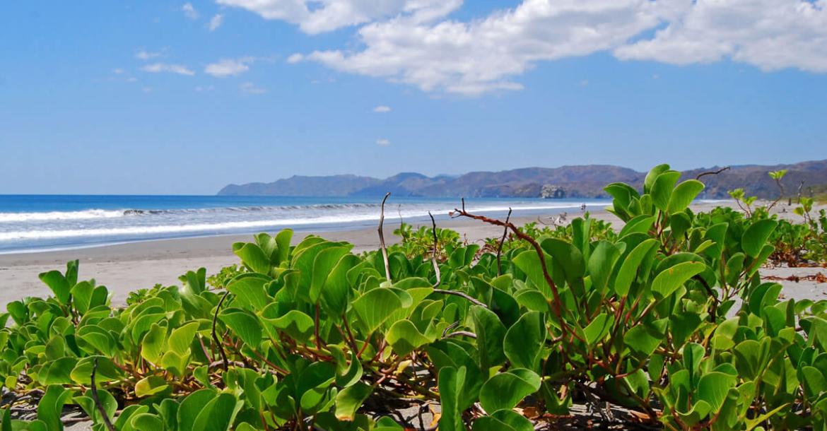 Santa Rosa National Park