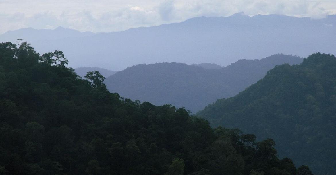La Amistad National Park, Costa Rica & Panama