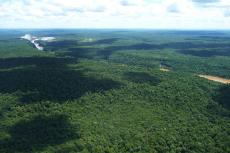 Aerial view of Iguaçu National Park, Brazil