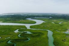 Panorama of the Amazon Basin