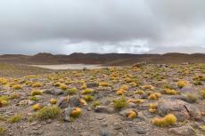 Laguna Chiar Kota (the Black Lagoon) at 4,201m. (13,783 ft.), the Lipez Desert, Bolivian Highlands (Altiplanos Boliviano), Potosí, Bolivia.