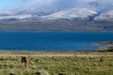 Torres del Paine National Park, Chilean Patagonia