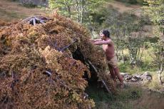 Indigenous Kawésqar building a hut