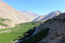 Pisco, Elqui Valley, Chile