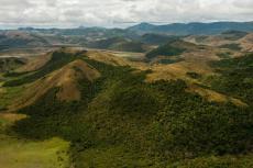 Kanuka Mountains, Guyana