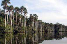 Lake Sandoval, Tambopata National Reserve, Peru