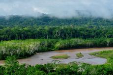 River flowing through Madidi National Park, Bolivia