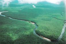 Aerial view of part of the Orinoco Delta