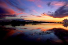 Jaú National Park panorama, Brazil