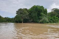 "Rio Amacayacu" riverbank in Amacayacu National Natural Park, Colombia
