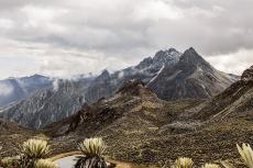 Mifafí Valley seen from Pico Piedras Blancas in Sierra de la Culata National Park, Venezuela