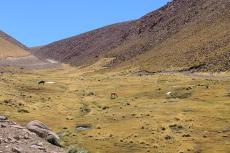 Atacama, Chile
