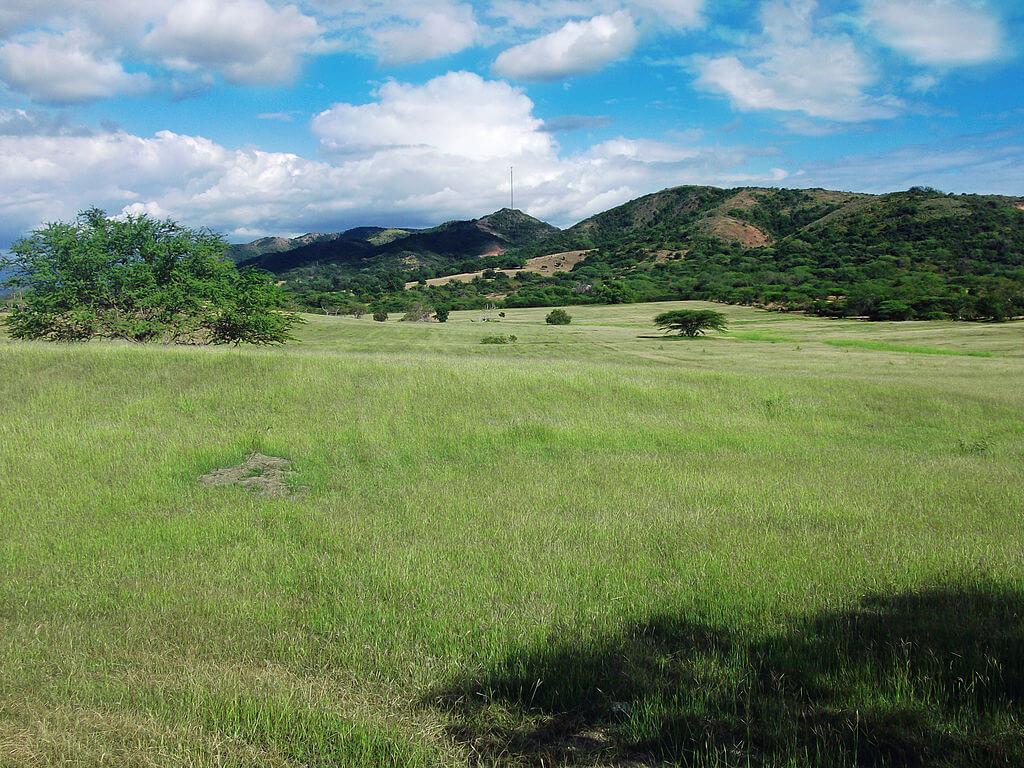 The Geography of Puerto Rico: A Comprehensive Analysis | LAC Geo